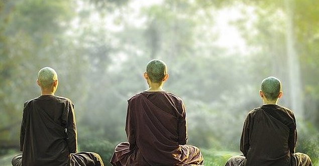 Theravada-Buddhismus, Nonnen, Meditation im Grünen